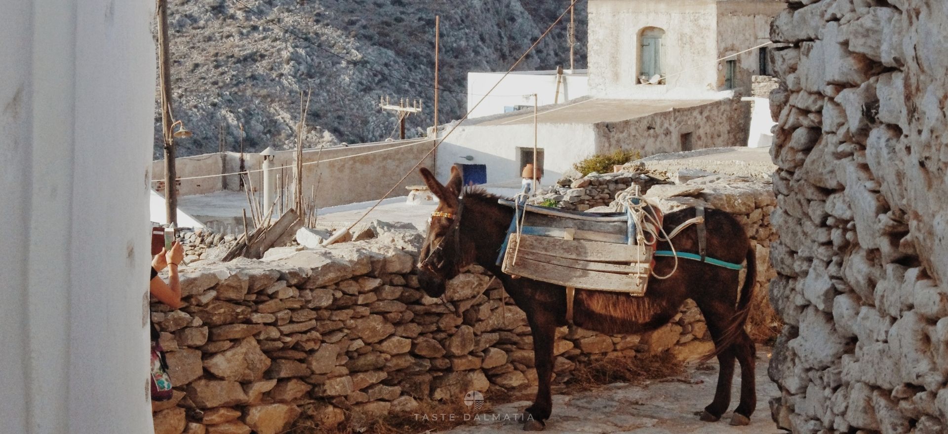 Croatia for Curious Travelers - A Thoughtful Journey